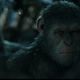Images: War for the Planet of the Apes, 20th Century Fox